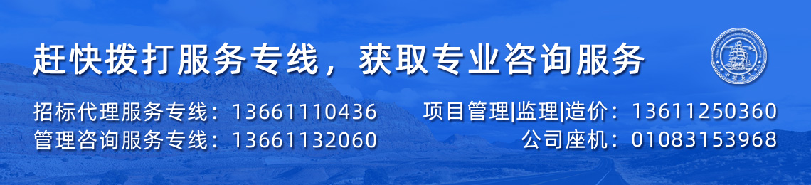 国际招标代理服务服务